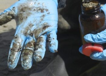 Derrame de crudo en refinería operada por Repsol dejó daños en costas peruanas. / Foto: Sernanp.