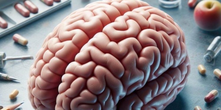 Estudio analiza la relación entre traumas craneoencefálicos y enfermedades degenerativas. / Foto: Blu Radio.