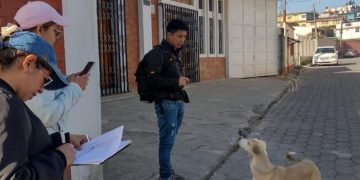 Estudio sobre población canina ayudará para establecer planes de salud. / Foto: MSPAS.
