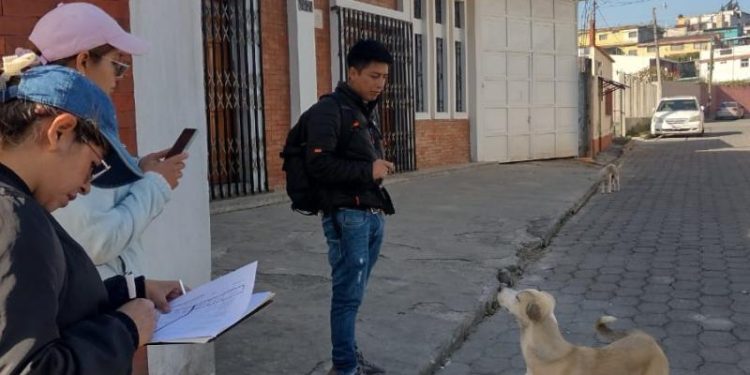 Estudio sobre población canina ayudará para establecer planes de salud. / Foto: MSPAS.