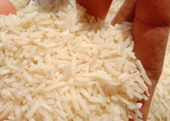 Estudios científicos demuestran mejoras en la calidad del arroz chino. / Foto: Archivo.