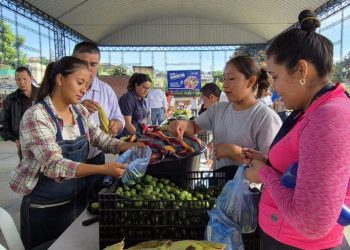 Las 109 ediciones de la Feria del Agricultor permitieron que agricultores locales vendieran sus productos directamente a miles de consumidores.
