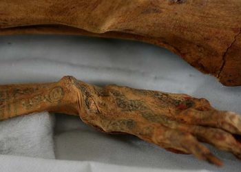 Grabados en momias peruanas demuestran técnica compleja y delicada. / Foto: Arqueología del Perú.