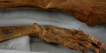 Grabados en momias peruanas demuestran técnica compleja y delicada. / Foto: Arqueología del Perú.