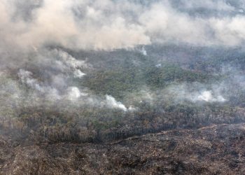 Los incendios forestales y la extracción de madera contribuyen a la degradación en la Amazonía brasileña.