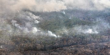 Los incendios forestales y la extracción de madera contribuyen a la degradación en la Amazonía brasileña.
