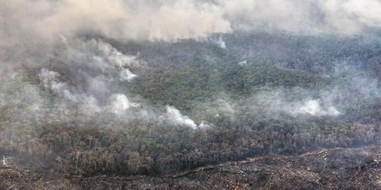 Los incendios forestales y la extracción de madera contribuyen a la degradación en la Amazonía brasileña.