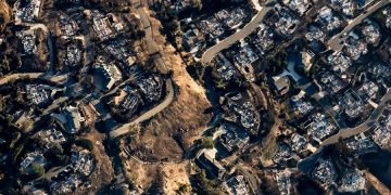 Vista de un serctor del área de Palisades, Los Ángeles, donde se originó el primero de los incendios este enero.