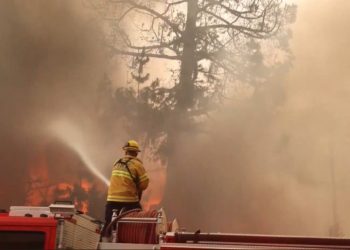 Incendios en Los Ángeles continúan arrasando grandes extensiones. / Foto: EFE.