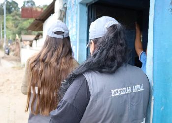 Instan a denunciar hechos de maltrato animal como el cometido en Chimaltenango. / Foto: MAGA.