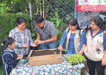 El MAGA brinda detalles de cómo iniciar el 2025 con un huerto familiar