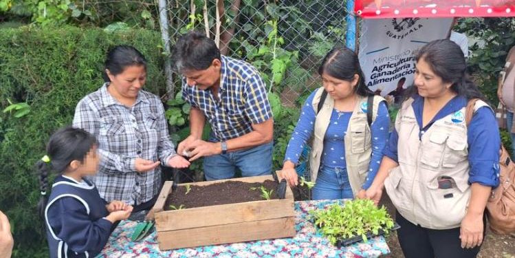 El MAGA brinda detalles de cómo iniciar el 2025 con un huerto familiar