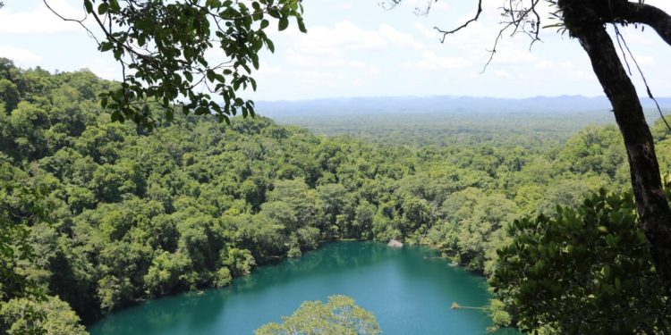 Parque nacional Sierra del Lacandón, en La Libertad, Petén. / Foto: Conap.