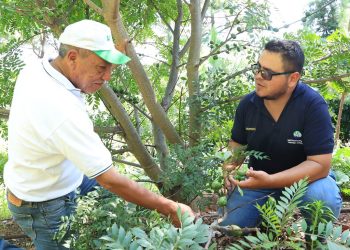 Estas iniciativas no solo mejoran la seguridad alimentaria, sino que también fortalecen la educación, promueven el autoconsumo. / Foto: MAGA