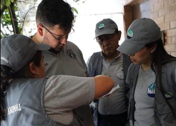 Unidad de Bienestar Animal (UBA) investiga muertes de gatos en el hospital. / Foto: MAGA.