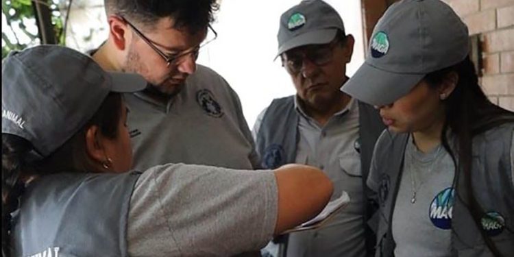 Unidad de Bienestar Animal (UBA) investiga muertes de gatos en el hospital. / Foto: MAGA.