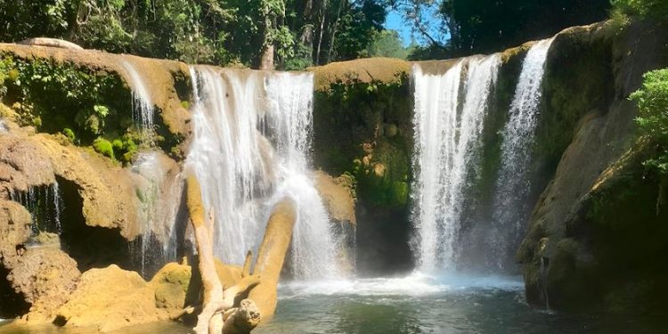 Recuerdan la importancia de la protección de los bosques en Petén
