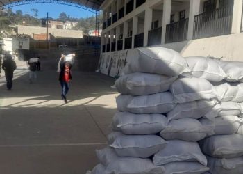 Con estas acciones, el Gobierno de Guatemala busca mitigar el impacto de la inseguridad alimentaria. / Foto: MAGA.