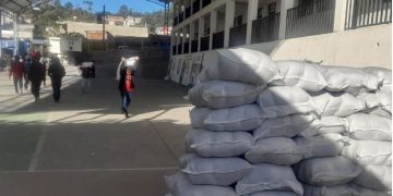 Con estas acciones, el Gobierno de Guatemala busca mitigar el impacto de la inseguridad alimentaria. / Foto: MAGA.