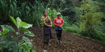 El crédito Tob’anik es un Fondo de Apoyo a los Pequeños y Medianos Productores Agrícolas que ofrece financiamiento con condiciones favorables. / Foto: MAGA