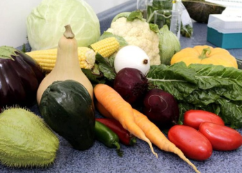 Con estas iniciativas, el MAGA reafirma su compromiso de proteger los cultivos del país. / Foto: MAGA