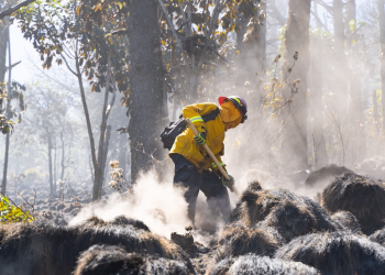 Conap destaca creación de informe sobre daños del fuego. / Foto: Archivo SCSP.
