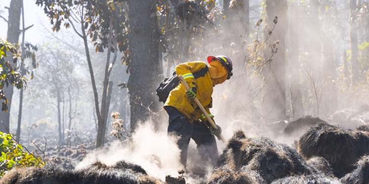 Conap destaca creación de informe sobre daños del fuego. / Foto: Archivo SCSP.