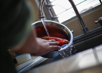 Es fundamental adquirir productos de calidad y lavar frutas y verduras antes de consumirlas. / Foto: MSPAS.