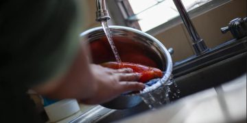 Es fundamental adquirir productos de calidad y lavar frutas y verduras antes de consumirlas. / Foto: MSPAS.