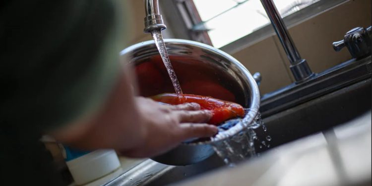 Es fundamental adquirir productos de calidad y lavar frutas y verduras antes de consumirlas. / Foto: MSPAS.