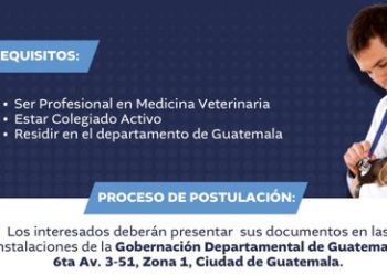Lanzan convocatoria abierta para profesional en medicina veterinaria para la ciudad de Guatemala