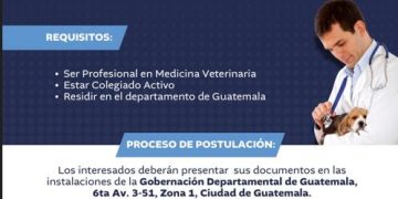Lanzan convocatoria abierta para profesional en medicina veterinaria para la ciudad de Guatemala