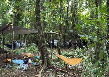 Desocupan a quienes tomaron tierras en parque nacional Laguna Lachuá. / Foto: Gobernación Departamental de Alta Verapaz.