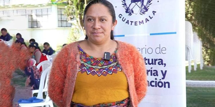 La agricultora Rebeca Hernández, de Olintepeque, considera que la nueva variedad de maíz blanco ICTA Altiplano tiene 100 puntos.