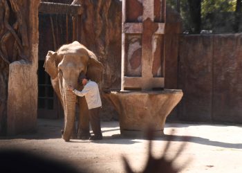 Trompita cumple 64 años. /Foto: Carlos Jacinto.