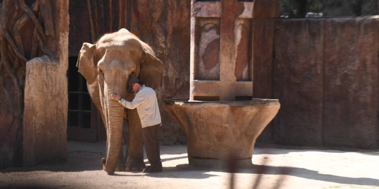 Trompita cumple 64 años. /Foto: Carlos Jacinto.