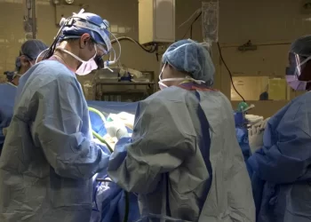 Cada 27 de febrero se celebra el Día Mundial del Trasplante de Órganos y Tejidos. / Foto: EFE.