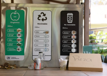 La basura puede clasificarse en orgánicos, reciclables y no reciclables. / Foto: Gilber García.