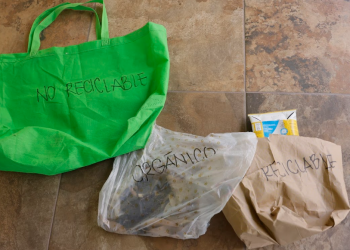 Reglamento para la Gestión Integral de los Residuos y Desechos Sólidos Comunes. / Foto: Gilber García.
