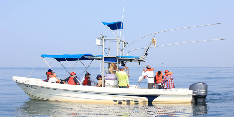 Las vedas de pesca representan un esfuerzo conjunto para equilibrar la actividad pesquera con la conservación ambiental. / Foto: MAGA