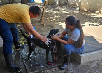 Corazones peludos en busca de un final feliz. / Foto: MAGA.