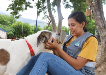 Cada acción cuenta cuando se trata de proteger a los animales. / Foto: MAGA.