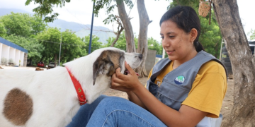 Cada acción cuenta cuando se trata de proteger a los animales. / Foto: MAGA.