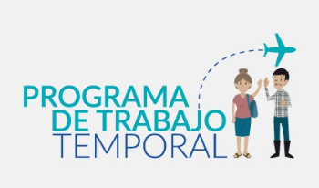 Mintrab lanza convocatoria de trabajos temporales en Estados Unidos. /Foto: Mintrab.
