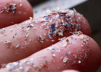 Estudio revela impacto de microplásticos en el cerebro. / Foto: El Nuevo Diario Republica Dominicana.