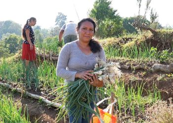 Marta Chacón encontró en el huerto comunitario de la aldea El Cerrito, Fraijanes, una oportunidad para mejorar la alimentación de sus hijos.