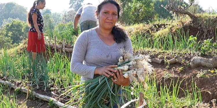 Marta Chacón encontró en el huerto comunitario de la aldea El Cerrito, Fraijanes, una oportunidad para mejorar la alimentación de sus hijos.