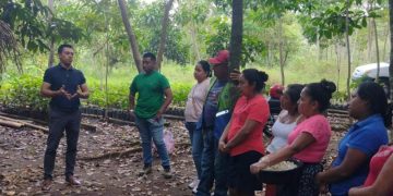 MAGA promueve cultivo de hongo ostra como alternativa de alimentación saludable. / Foto: MAGA.