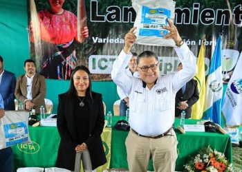 Con la presentación de la variedad de maíz blanco ICTA Altiplano, el sector agrícola guatemalteco obtiene una nueva herramienta para mejorar la productividad. / Foto: MAGA