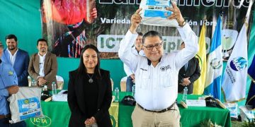 Con la presentación de la variedad de maíz blanco ICTA Altiplano, el sector agrícola guatemalteco obtiene una nueva herramienta para mejorar la productividad. / Foto: MAGA